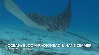 Ocean Bloom - Radiohead & Hans Zimmer Planet Earth: Blue Planet II BBC America