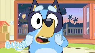 Bluey Full Episodes Compilation | Bluey