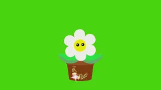 Цветок в горшке | Футажи для видео | Хромакей | green screen | ФутаЖОР