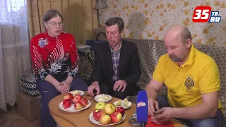 Дача с любовью: как правильно хранить яблоки зимой