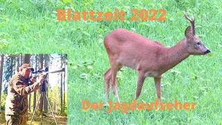 Blattzeit 2022   HD 1080p