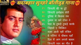 सदाबहार सुनहरे बॉलीवुड गाना#latamangeshkar​#mohammedrafi​#anuradhapaudwal​#alkayagnik​ Songs