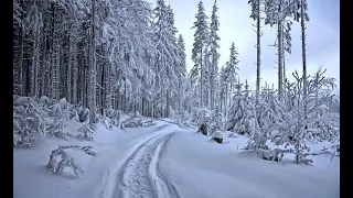 С Добрым Утром! Доброе зимнее утро, Красивая музыкальная открытка!