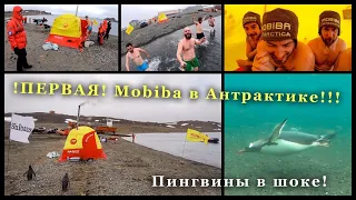 ВПЕРВЫЕ в МИРЕ! | MOBIBA в АНТАРКТИКЕ!!!