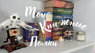 МОИ КНИЖНЫЕ ПОЛКИ 📚 Что почитать?