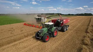 Moisson de blé 2023 | Claas Lexion 770 TT + V1080 | Fendt 930 s4 | PERARD X-Flow 28