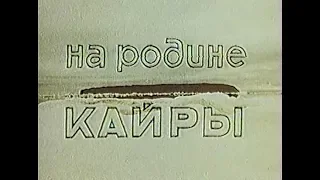 На родине кайры