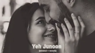 Yeh Junoon [perfectly slowed + reverb] lofi2.o ❤️