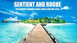 ASS SKANKIN SUMMER RAGGA JUNGLE DRUM AND BASS MIX - NEW DNB MIX by SENTIENT AND ROGUE