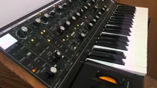 Moog Sub 37: My New Patches