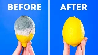 20 HACKS TO KEEP YOUR FOOD FRESH LONGER