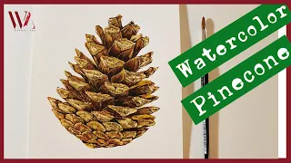 Painting a Pinecone in Watercolor- Windy Shih