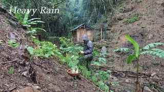 Video Full: Process 100 Days in Forest Building A Log Cabin, Gardening,Living Off-Grid. TA Bushcraft