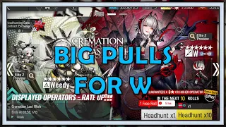W And Weedy Banner Big Pulls - Arknights