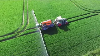 Fendt 718 Vario mit Amazone UX 5201 Super beim Weizen spritzen