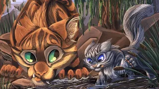 Top 10 Warrior Cats With Disabilities