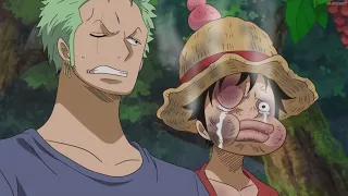 Don't say the word Ninja! || One Piece (Dub)