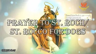 Prayer to St. Roch For Dogs