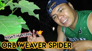 Huli muna pero hinuli pa NG iba 🤣 part 2 Spider hunting