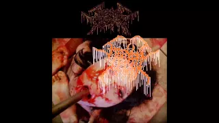 Embryonic decay-antalax