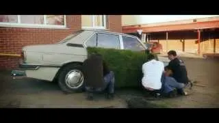 Озеленение машины в Киеве