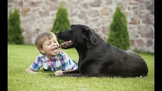 CUTE BABIES AND DOGS TALKING -  FUNNY DOG AND BABY COMPILATION