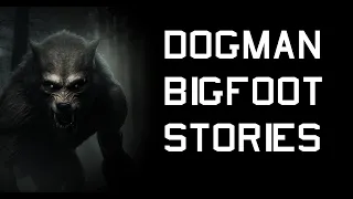 DOGMAN AND BIGFOOT STORIES #dogman #bigfoot #scary