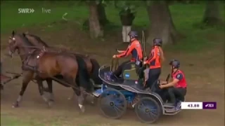 Gold für Deutschland  Europameisterschaft  Donaueschingen 2019