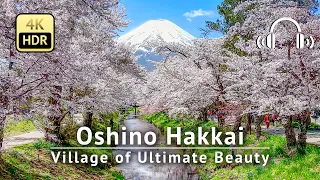 Oshino Hakkai - Village of Ultimate Beauty: Mt. Fuji, Cherry Blossoms & Crystal-Clear Water