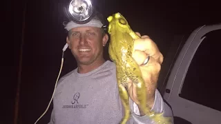 BULL FROG {catch clean and cook} Deer Meat For Dinner