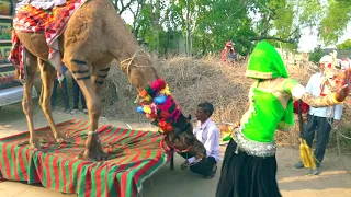 मेरी एड़ी की धमक डोडो रिह्जो रसिया | Meri Adi Ki Dhamak | Bhanwar Khatana | Rajasthani Rasiya