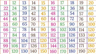 table of 11 to 20 |pahade 11 se 20 tak|multiplication table|11-20 table @scjkipathshala9811