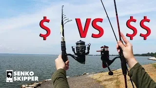 Save your Money! Telescopic Fishing Rod VS Two-piece Fishing Rod