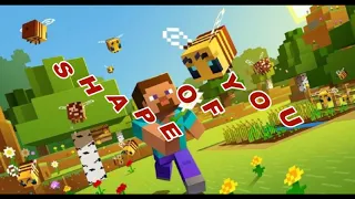 Shape Of You Minecraft Animation Song