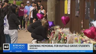 Classmates gathering at memorial to honor Buffalo Grove High School students killed in crash,