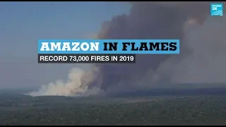 Amazon in flames: Record 73,000 forest fires in 2019