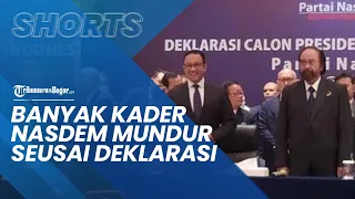 Banyak Kader Partai NasDem yang Mundur Usai Deklarasi Anies Baswedan sebagai Capres 2024