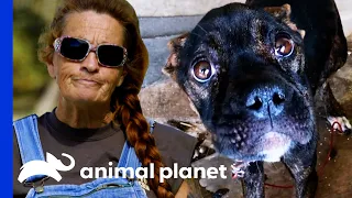 Tia’s Most Heart Warming Moments | Pit Bulls & Parolees