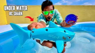 I Bought World’s Smallest Under Water RC Shark - Chatpat toy TV