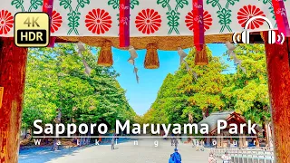 Sapporo Maruyama Park Walking Tour - Hokkaido Japan [4K/HDR/Binaural]