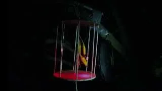 LED Birds at Night