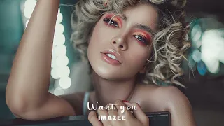 Imazee & JAVAD - Want you (Original Mix)