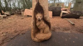 AMAZING CHAINSAW Fox in a Log Sculpture!