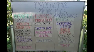 3/7 Syntropic Principles - Production Principles (Biodiversity, dynamism, process-based)
