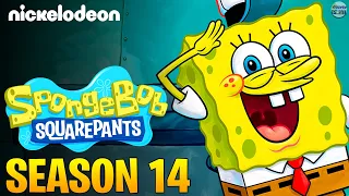'SPONGEBOB SQUAREPANTS' has been renewed for Season 14 at Nickelodeon