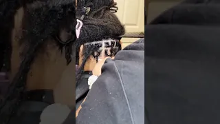 Two Strand Twists on Locs Tutorial