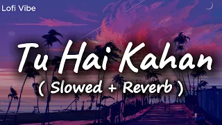 Tu Hai Kahan ( Slowed + Reverb ) | Aur | Lofi Vibe