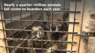 ASPCA Rescues Hundreds of Dogs from Ohio Hoarder