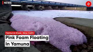 Pink Foam From Toxic Industrial Waste Seen Floating In Yamuna River Near Okhla Barrage, New Delhi