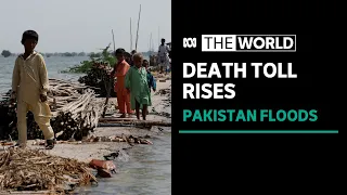 Death toll in devastating Pakistan floods continues to rise | The World | ABC News